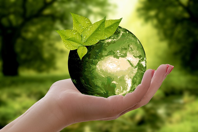 Inspektionsbrønde og bæredygtighed: Hvordan de kan hjælpe med at reducere vores miljøpåvirkning