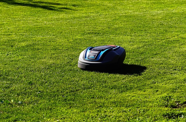 Robotplæneklipper-duellen: Find modellen der passer til din have